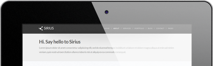 轰炸电话号码网站